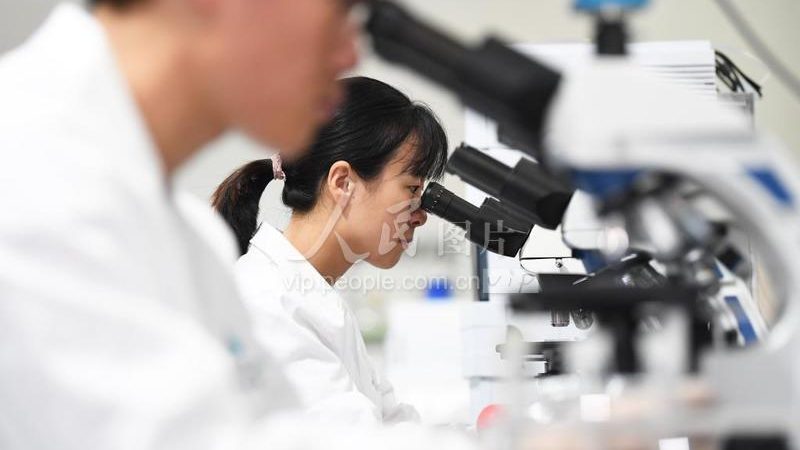 移液器重复性误差：如何确保实验数据的可靠性**