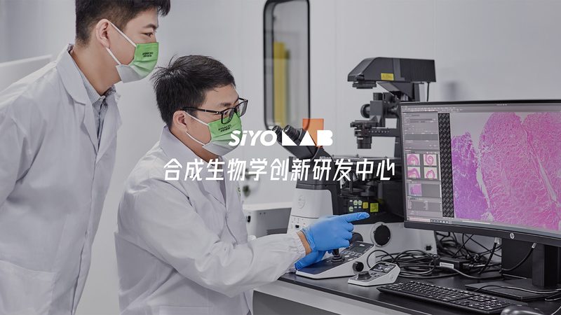 固定式移液器：精准科研的得力助手**