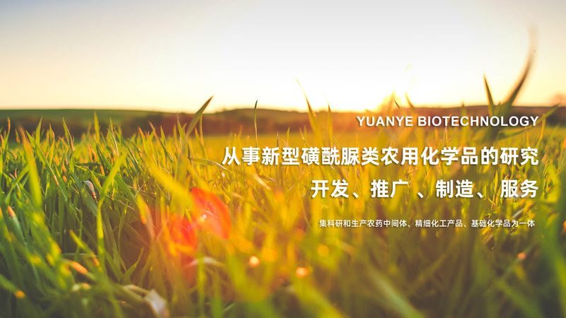 实验室耗材，选对是关键**