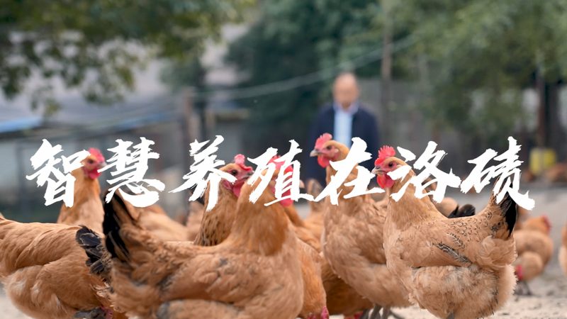 解读生物科技公司报价单：关键要素与注意事项