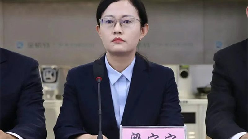 CDMO定制生产代理：揭秘医药研发背后的隐形力量