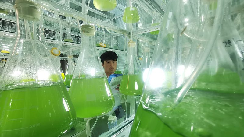 离心管盖子为什么总是卡不牢
